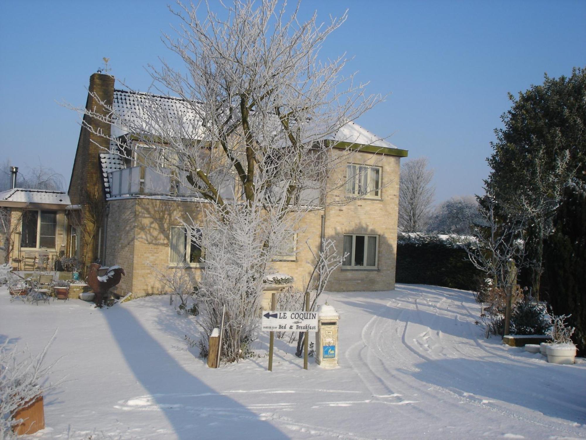B&B Le Coquin Bruges Exterior foto
