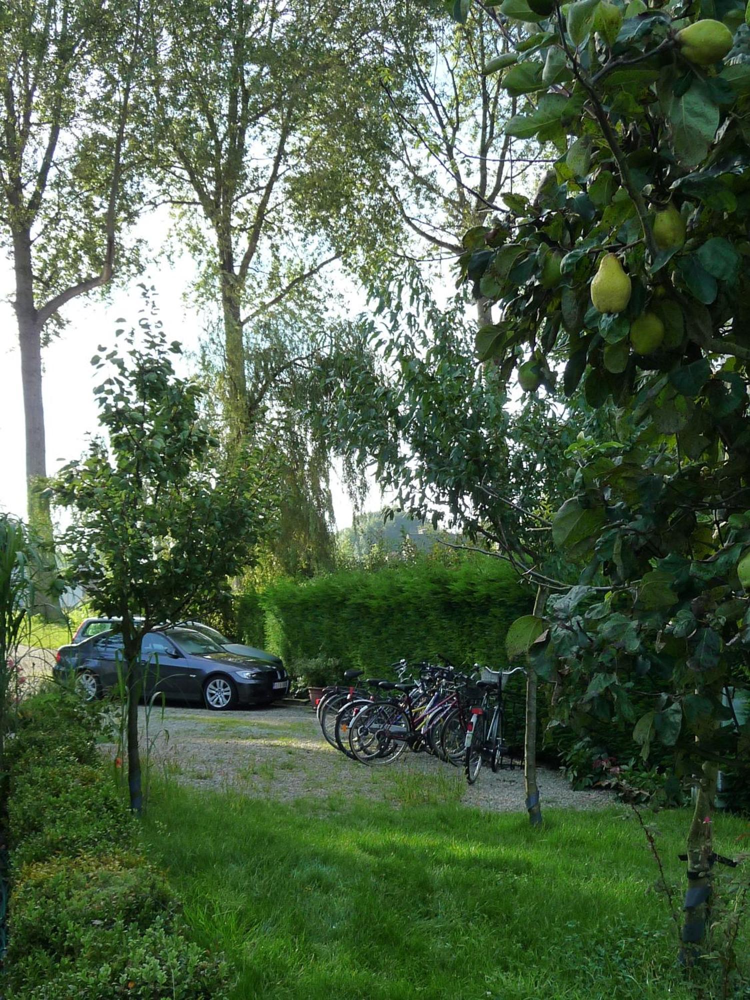 B&B Le Coquin Bruges Exterior foto